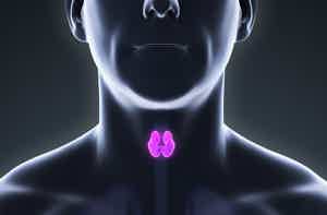 Keto and Endocrine Disorders: Eat These Foods for Better Health