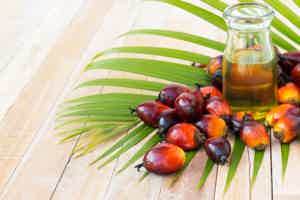 Is Palm Oil Bad for You? Your Guide to This Controversial Oil