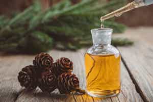 The Science of Essential Oils: Headaches, Weight Loss, and More
