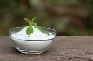 Is Stevia Keto? What The Science Says