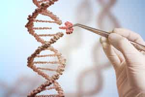 What is an MTHFR Gene Mutation and How to Get Tested