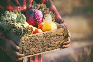 8 Tips For How to Eat Local and Why it Matters